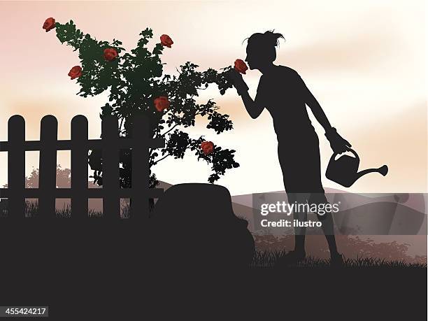 garden - smelling roses stock illustrations