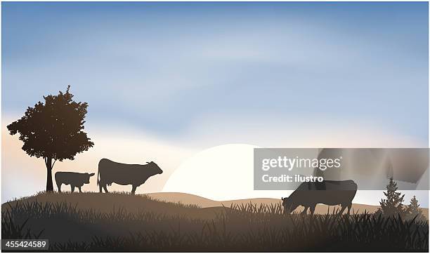 cattle - cow and calf illustration stock illustrations