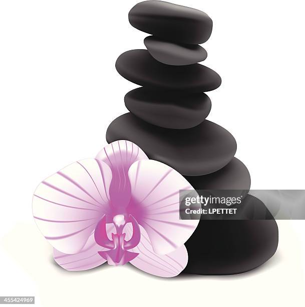 orchid and stones  - vector illustration - feng shui stock illustrations