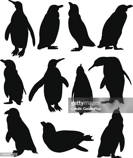 penguin collection - animal mouth stock illustrations
