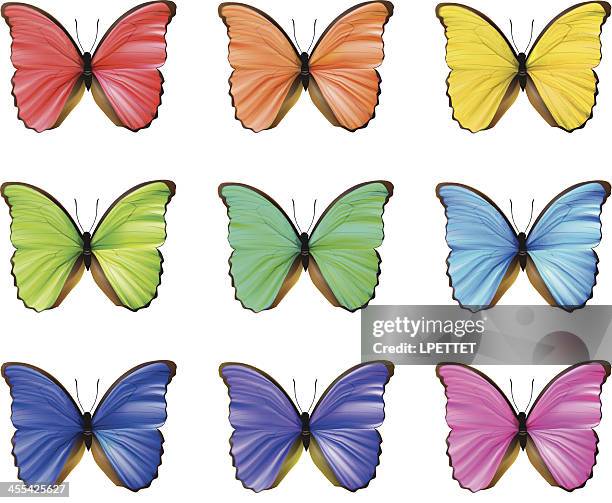 butterfly-vector illustration - blue morpho butterfly isolated stock illustrations