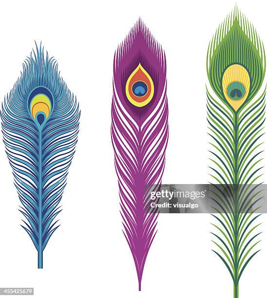 stockillustraties, clipart, cartoons en iconen met feathers - pauwenveer