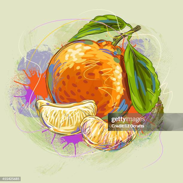 tasty orange - tangerine sketch stock illustrations