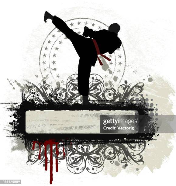 marshal arts banner - taekwondo stock illustrations