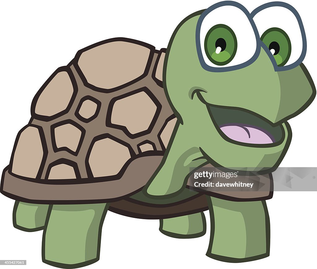 Happy Smiling Turtle