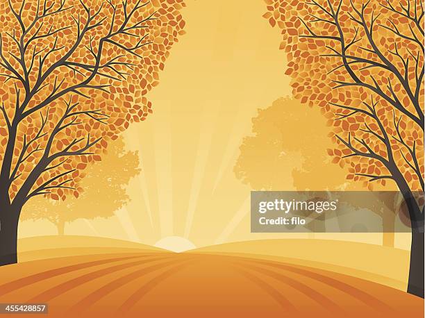 herbst hintergrund - rolling landscape stock-grafiken, -clipart, -cartoons und -symbole