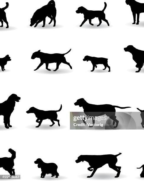 dog silhouettes - american staffordshire terrier stock illustrations