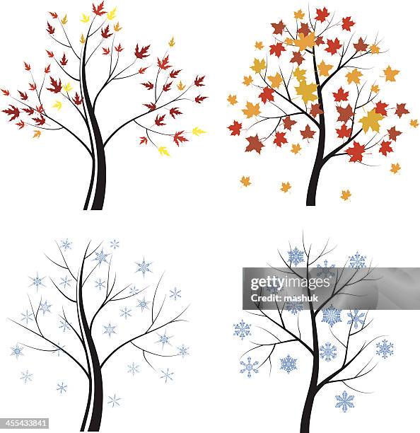 Graphics Fall/winter 15 Fall Winter Background High Res Illustrations - Getty Images