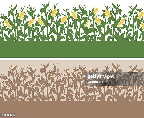 ilustraciones, imágenes clip art, dibujos animados e iconos de stock de fondo de maíz - corn field