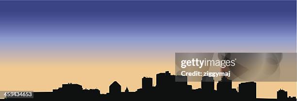 ilustrações de stock, clip art, desenhos animados e ícones de são paulo horizonte no anoitecer - st paul minnesota