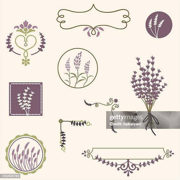 ilustraciones, imágenes clip art, dibujos animados e iconos de stock de aire fresco en el salón lavender - lavanda