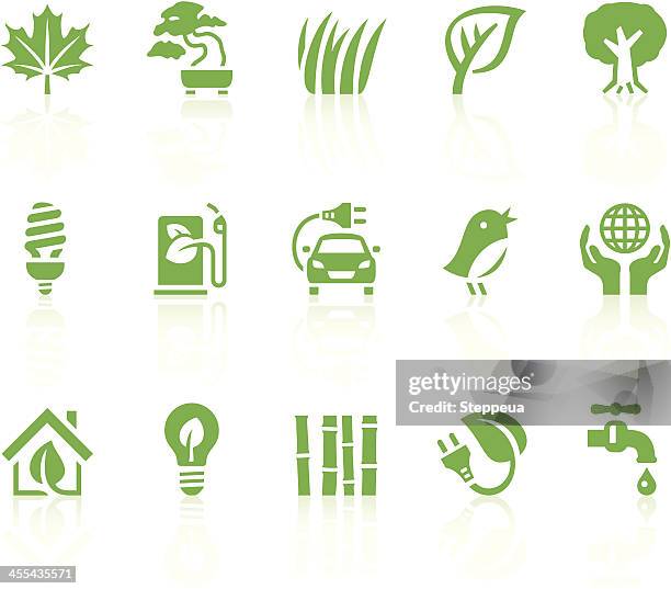 a collection of green eco icons - bamboo bonsai stock illustrations