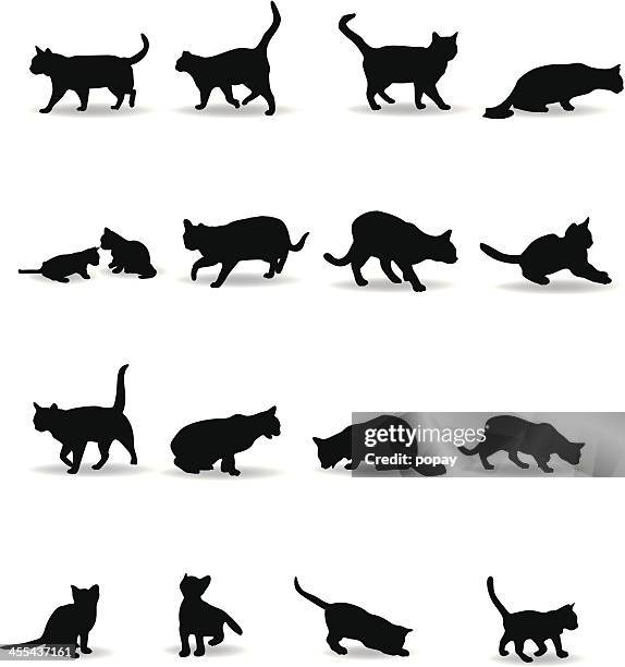 cats silhouette - cat reaching stock illustrations