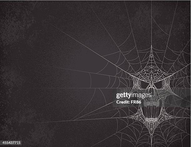 Sticky Web Inage 1,658 Sticky Web Stock Photos, High-Res Pictures, and Images - Getty Images