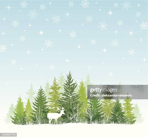 christmas winter background - pine wood texture stock illustrations