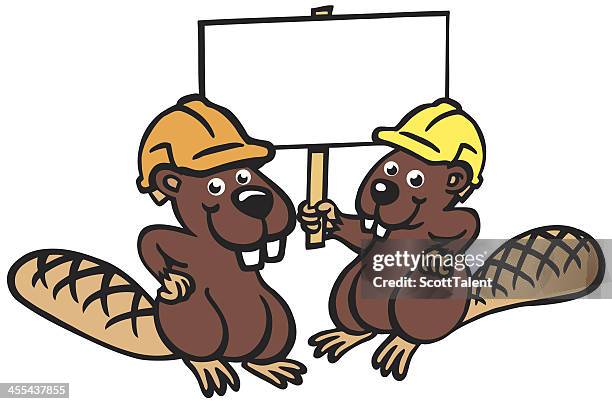 working beavers - funny beaver stock illustrations