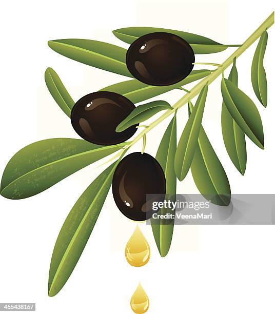 black olive branch with oil - olive leaf stock illustrations