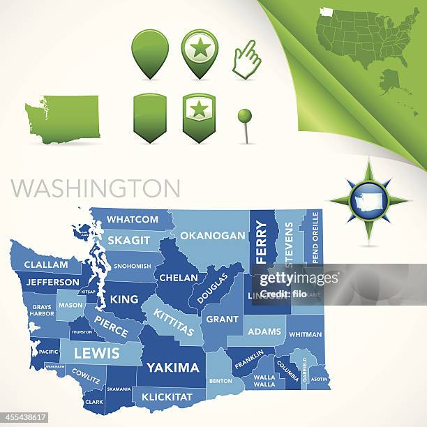 stockillustraties, clipart, cartoons en iconen met washington county map - staat washington