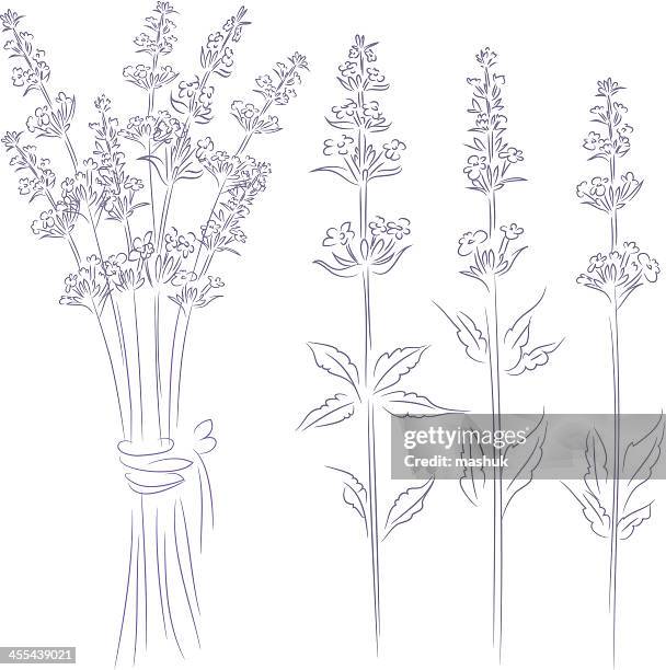 - lavendel - aromatherapy stock-grafiken, -clipart, -cartoons und -symbole