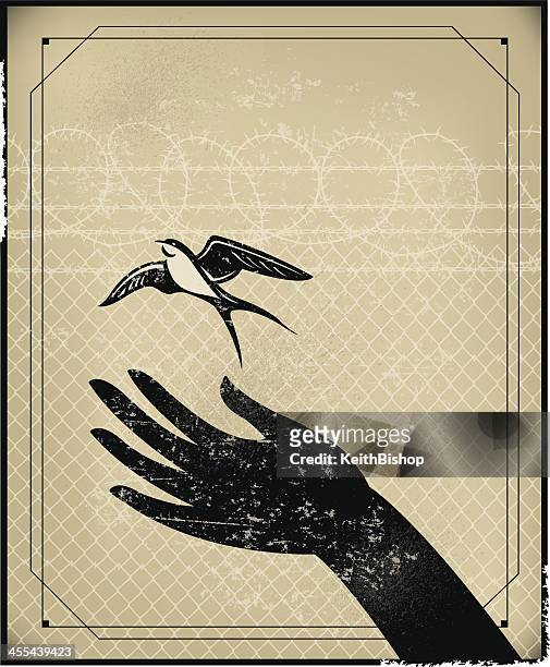 freedom, prison or free bird background - releasing stock illustrations