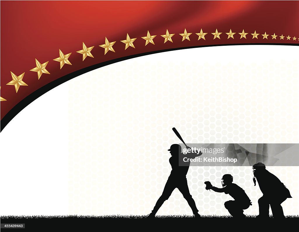 Baseball Batter Background