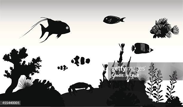 ilustraciones, imágenes clip art, dibujos animados e iconos de stock de underthesea - angelfish