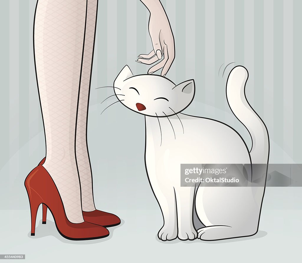 Gato