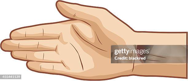 stockillustraties, clipart, cartoons en iconen met opened palm - palm of hand