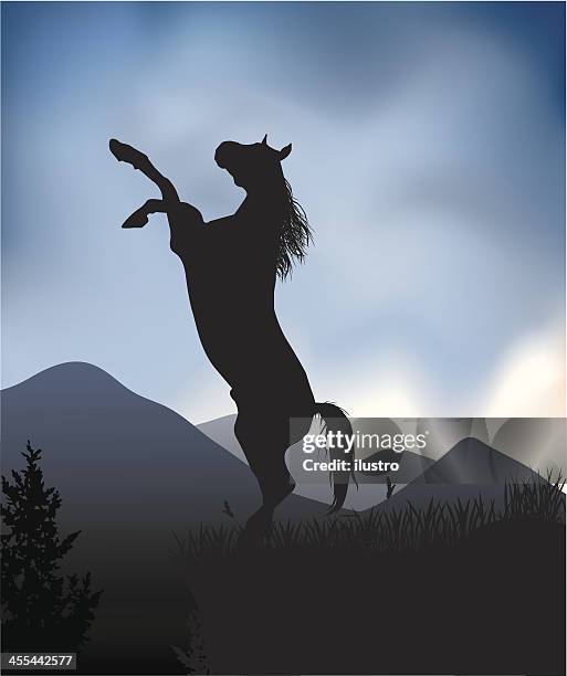 ilustraciones, imágenes clip art, dibujos animados e iconos de stock de wild horse - caballo salvaje