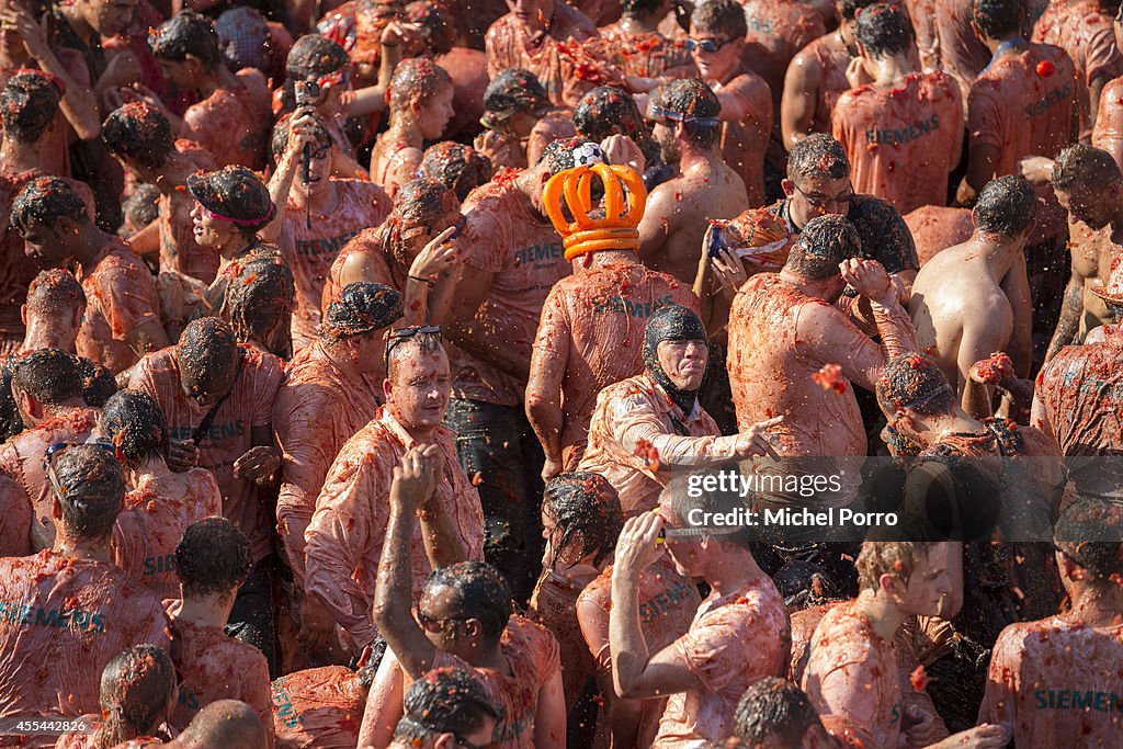 Tomato Fight In Support Of Dutch Vegetable Growers Hurt By Russian Boycott