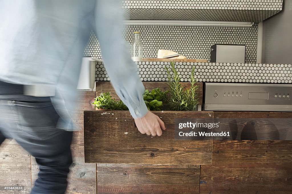 Mature man opening drawer with herbs