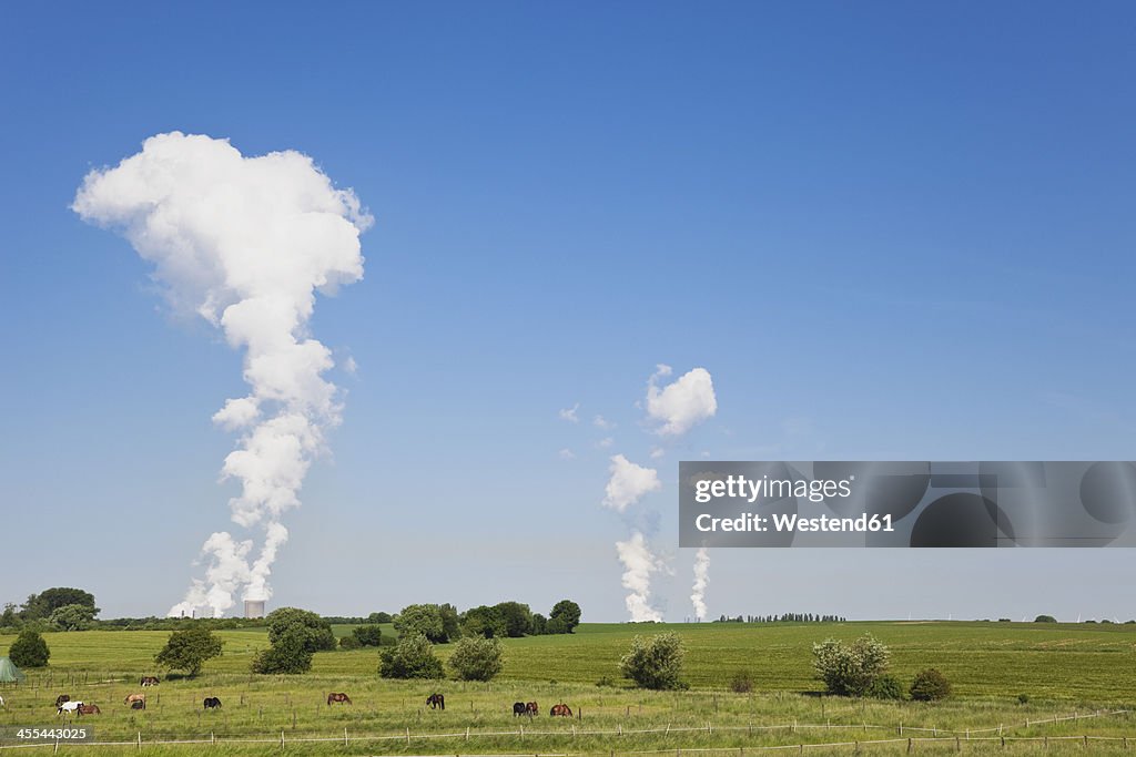 Germany, North Rhine Westphalia, View of horse in field while power plant in background