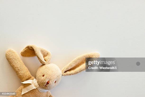 cuddly toy rabbit, close up - peluche foto e immagini stock