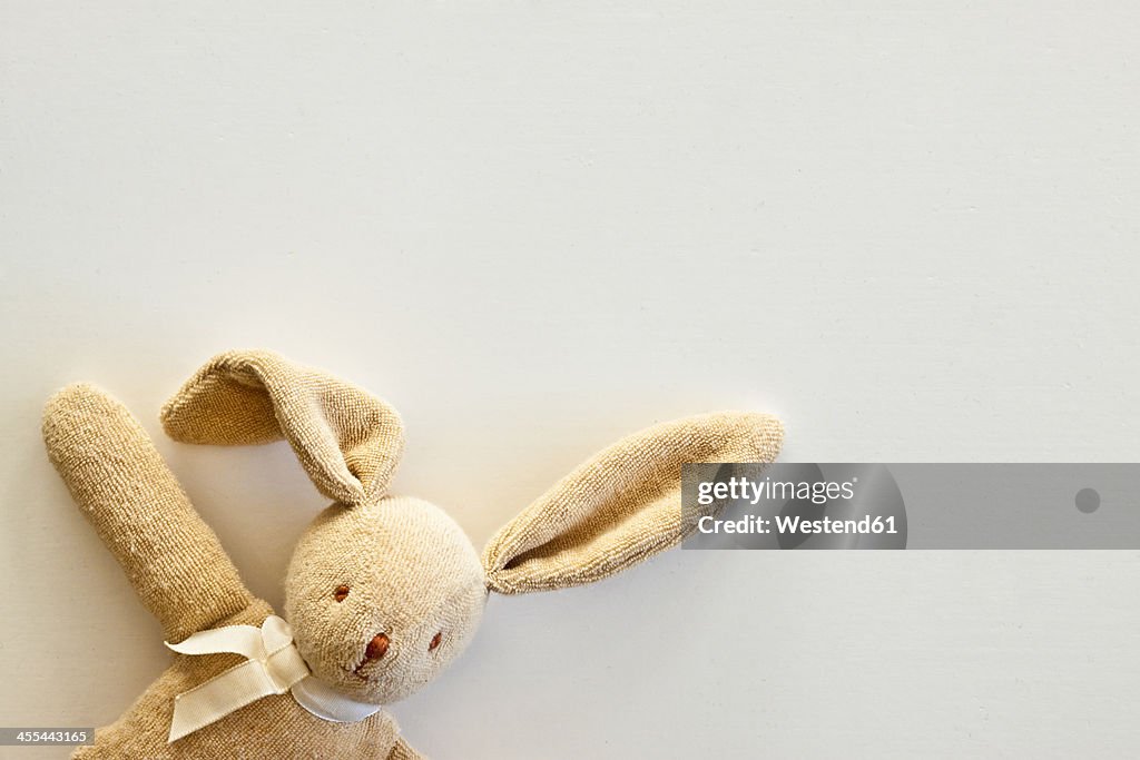 Cuddly toy rabbit, close up