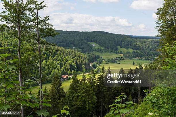 germany, baden wuerttemberg, view of black forest - black forest germany stock pictures, royalty-free photos & images