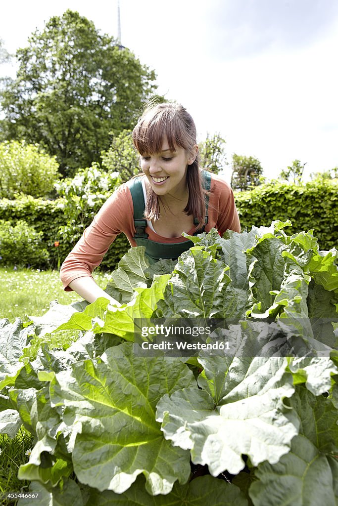 Germany, Cologne, Young woman cutting pieplant, smiling
