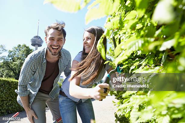 germany, cologne, young couple cutting leaves with shears, smiling - heckenschere stock-fotos und bilder