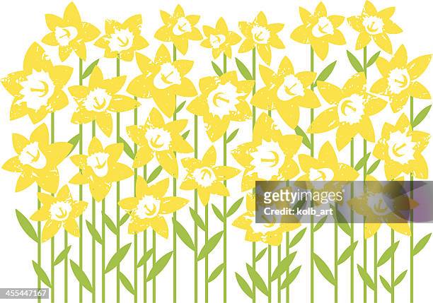digital artwork of a field of daffodils isolated on white - daffodil 幅插畫檔、美工圖案、卡通及圖標