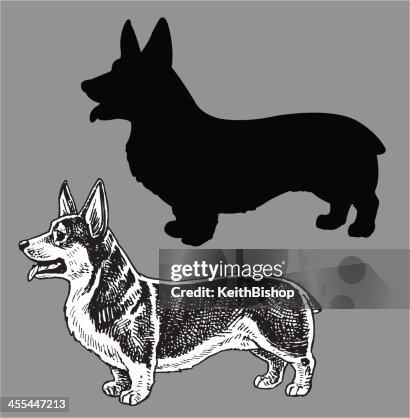 Corgi galés perro Corgi galés perro