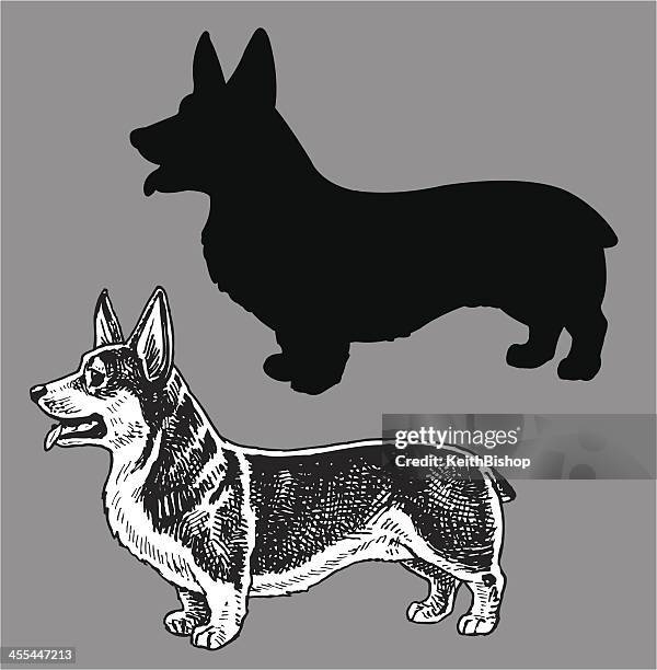 illustrazioni stock, clip art, cartoni animati e icone di tendenza di cane corgi gallese - pembroke welsh corgi