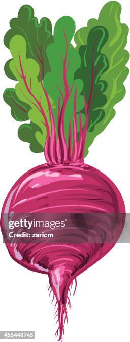 Beet Beet
