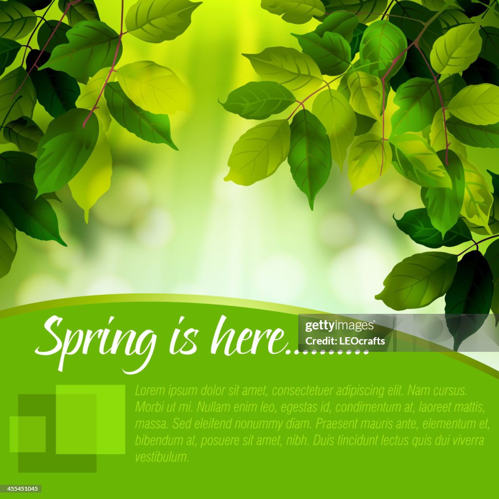 Beautiful Spring Background High-Res Vector Graphic - Getty Images