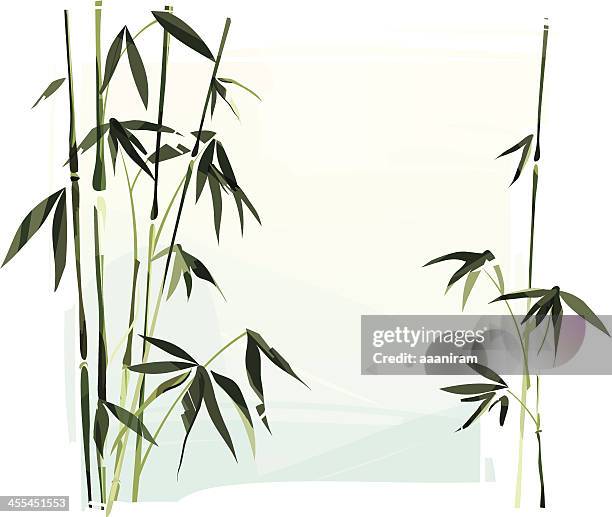 bamboo - bamboo leaf stock illustrations