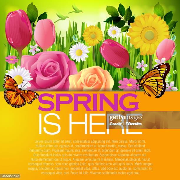 beautiful spring background - spring landscape rainbow stock illustrations