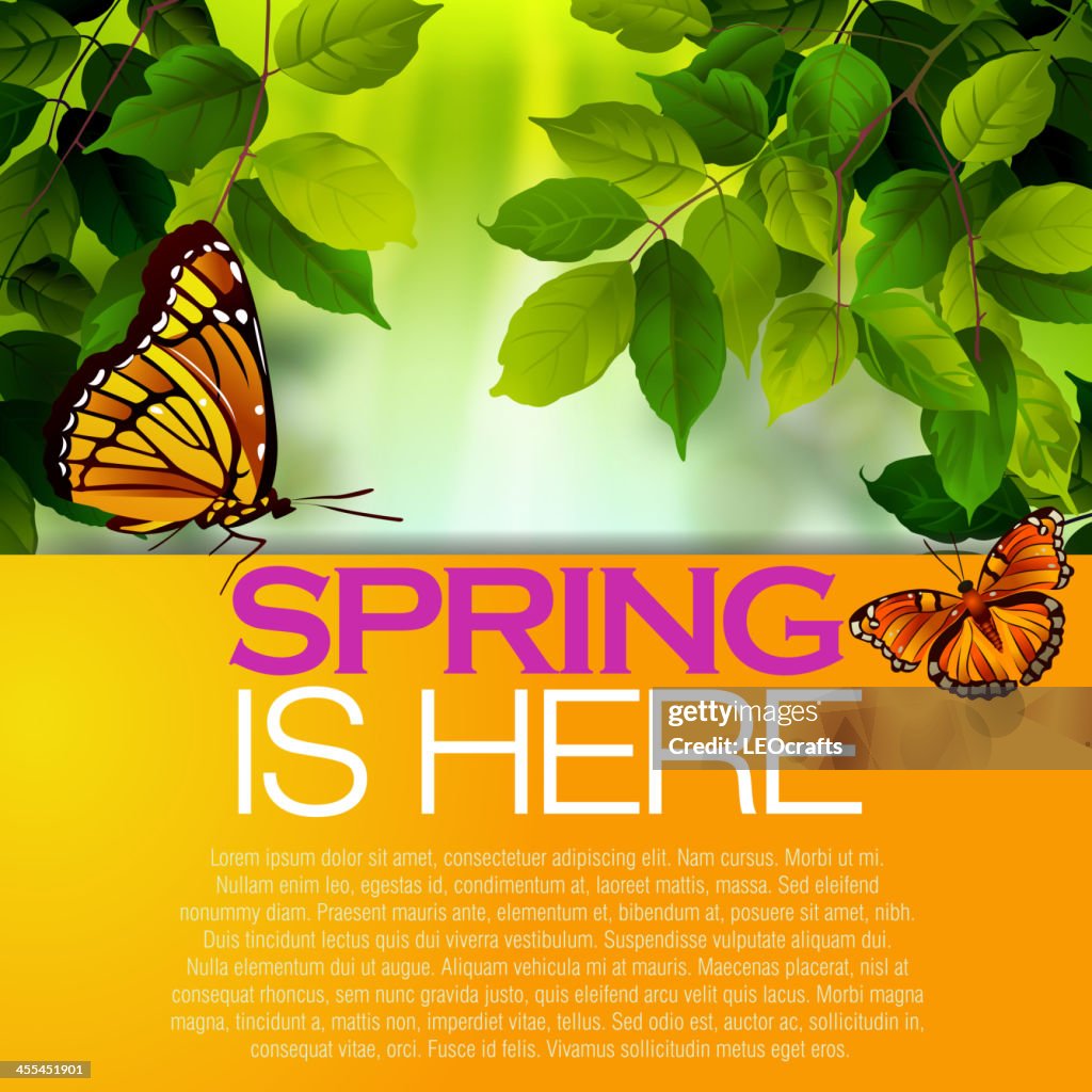Beautiful Spring Background High-Res Vector Graphic - Getty Images