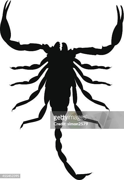 scorpion silhouettes - scorpions stock illustrations