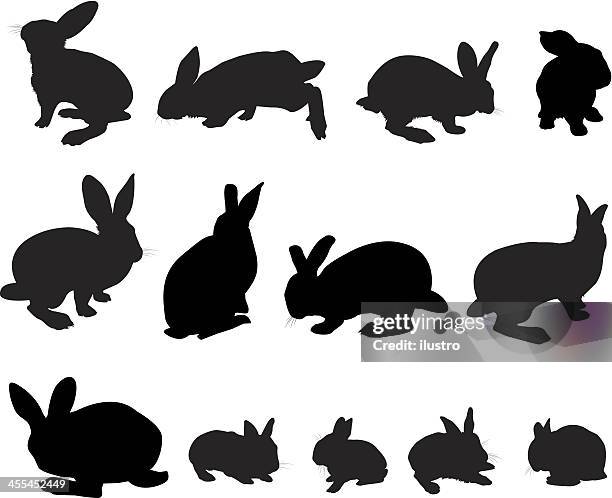 rabbits - animal ear stock illustrations