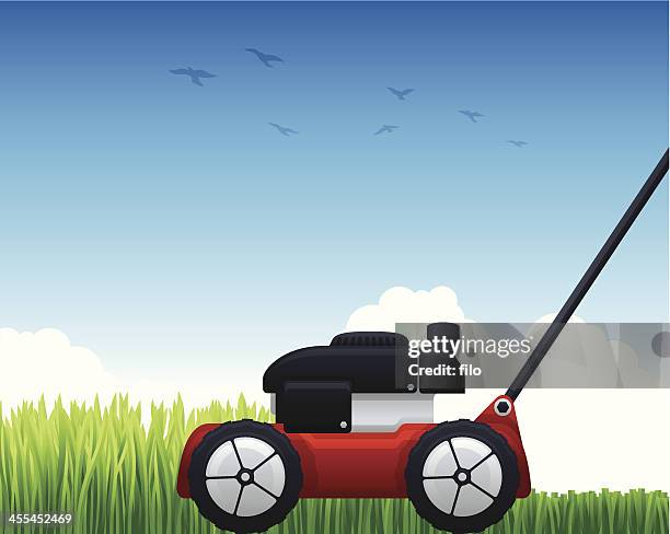 lawn care - lawn care stock illustrations