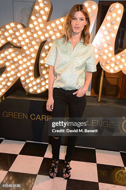 Hanneli Mustaparta attends The London 2014 Stella McCartney Green Carpet Collection during London Fashion Week at The Royal British Institute on...