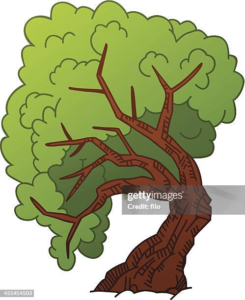 tree - ash tree stock illustrations